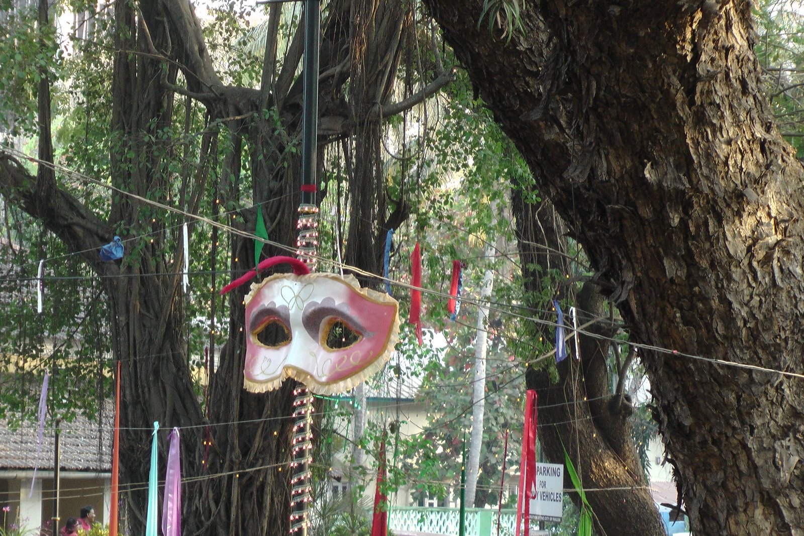 Goa Carnival